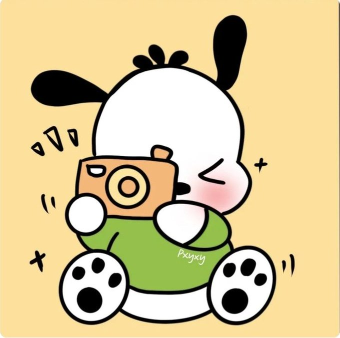Pochacco with a camera